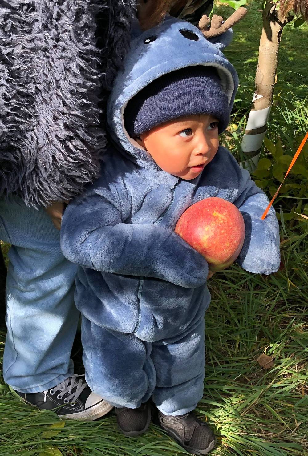 Baby with an apple